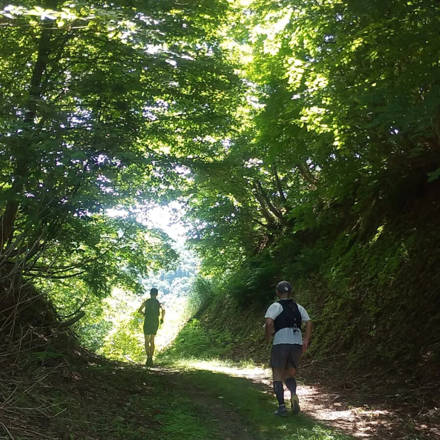 028緑のトンネル